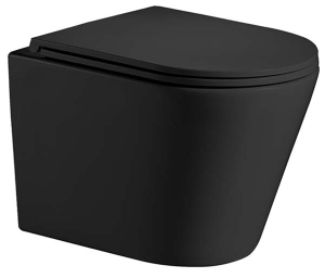 Подвесной унитаз WeltWasser Salzbach 004 MT-BL