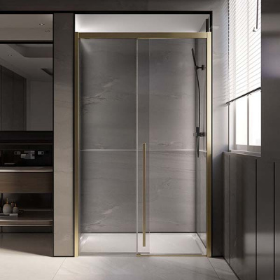 Душевая дверь Veconi Premium Trento PTD-30G