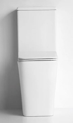Напольный унитаз CeramaLux NS2171 безободковый