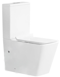 Напольный унитаз Caprigo Style S-1213