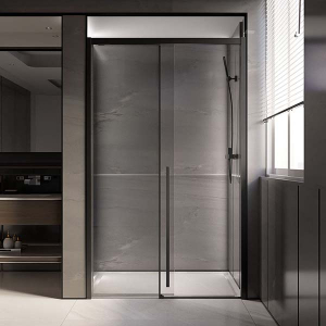 Душевая дверь Veconi Premium Trento PTD-30B