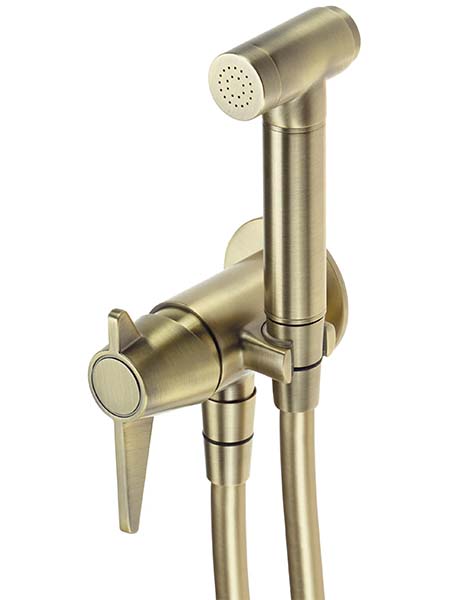 Смеситель встраиваемый Deante Temisto Brass BQT_M34M с гигиенической лейкой