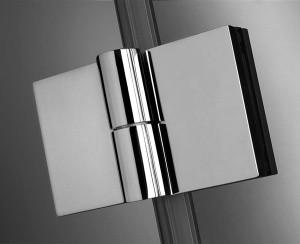 Душевая дверь Radaway Carena DWB, 70х195, прозрачный