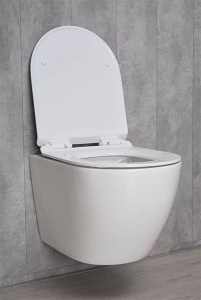 Подвесной унитаз Gid Tr2122b с сиденьем Soft Close