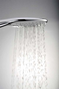 Душевая лейка Omnires DavisX-RCR