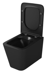 Подвесной унитаз OWL Vatter Ruta-H Matt black OWLT190404 с крышкой SoftClose