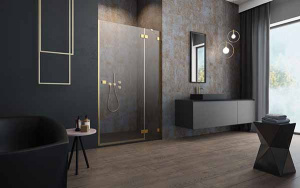 Душевая дверь Radaway Essenza Pro Gold DWJ, 100х200, прозрачный