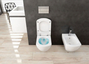 Смеситель для биде Deante Anemon BCZ 031M