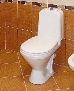 Напольный унитаз Sanita Самарский комфорт (с крышкой SoftClose), белый