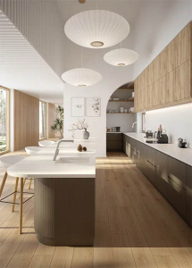 Смеситель для кухонной мойки Deante Silia BQS F73M с выдвижным изливом