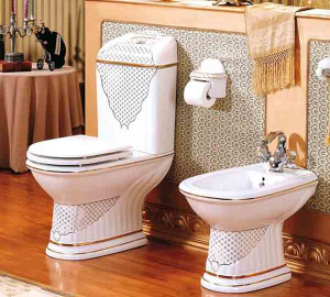 Напольное биде Ceramalux J816