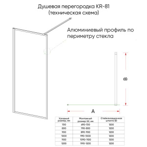 Душевое ограждение Veconi KR-81GR прозрачное, 70х200, прозрачный