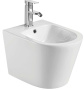 Подвесное биде WeltWasser Salzbach 005 GL-WT