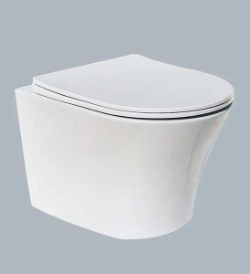 Подвесной унитаз Cerutti Adige Aria MW CT9245 / Adige Aria CT7837 безободковый с крышкой SoftClose, белый глянцевый