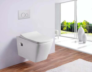 Подвесной унитаз Amore di Mare Garda Bidet P310-X с функцией биде