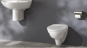 Подвесной унитаз Jacob Delafon Patio EDV102-00, белый