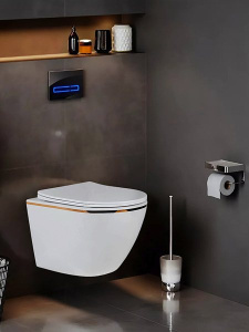 Подвесной унитаз Amore di Mare Delio Gold Line P203G