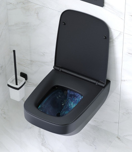 Подвесной унитаз AM.PM Inspire V2.0 FlashClean C50A1700MBSC