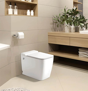 Приставной унитаз Cerutti Maiella Pulse CT10196 с импульсным смывом