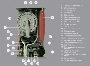 Конденсационный газовый котел E.C.A. Proteus Premix 45 HST