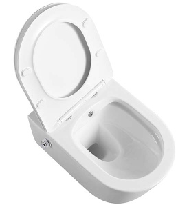 Подвесной унитаз Amore di Mare Temo Bidet P322-X с функцией биде