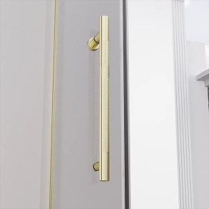 Душевая дверь Veconi Premium Alassio G, 150х200, прозрачный осветленный