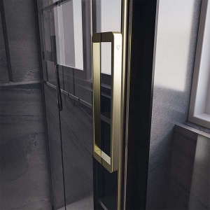 Душевая дверь Veconi Premium Trento PTD-40G, 120х200, прозрачный
