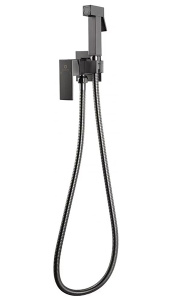 Смеситель встраиваемый Filarete Fing FL101BG с гигиеническим душем