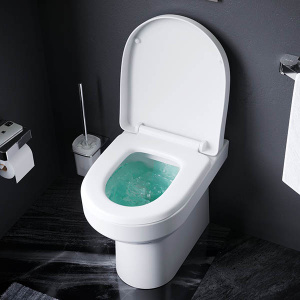 Приставной унитаз AM.PM Spirit V2.0 C701438WH, белый