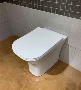 Приставной унитаз Cerutti Vettore F CT7841 безободковый с крышкой Soft Close