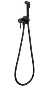 Смеситель встраиваемый Filarete Roun FL100BL с гигиеническим душем