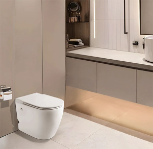 Приставной унитаз Cerutti Sella Pulse CT10198 с импульсным смывом