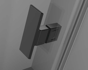 Душевая дверь Radaway Nes Black DWS, 100х200, прозрачный