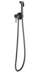 Смеситель встраиваемый Filarete Roun FL100BG с гигиеническим душем