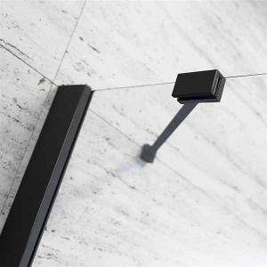 Душевая дверь Radaway Essenza New Black DWJ, 100х200, прозрачный