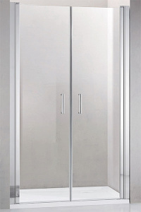 Душевая дверь Adema NAP-DUO матовая, 100х195, матовый