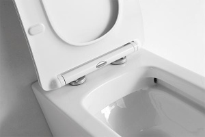 Приставной унитаз CeramaLux NS 3170 (с крышкой SoftClose)