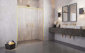 Душевая дверь Radaway Idea Gold DWD
