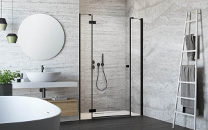 Душевая дверь Radaway Essenza New Black DWJS, 110х200, прозрачный