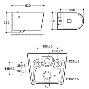 Подвесной унитаз Amore di Mare Temo Bidet P322-X с функцией биде