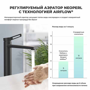 Смеситель для умывальника Wellsee Once and forever 182402000