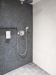 Душевая лейка Grohe Euphoria 27220000