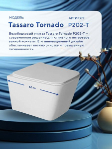 Подвесной унитаз Amore di Mare Tassaro Tornado P202-T