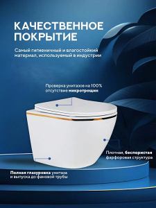Подвесной унитаз Amore di Mare Delio Gold Line P203G