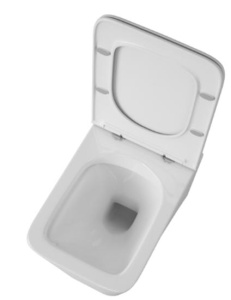 Подвесной унитаз OWL Vatter Ruta-H OWLT190401 с крышкой SoftClose