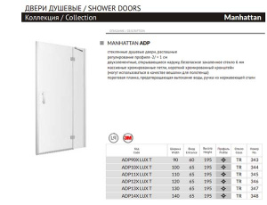 Душевая дверь Omnires Manhattan ADP-X LUX-T, 100, прозрачный