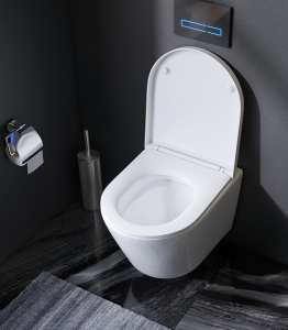 Подвесной унитаз AM.PM Sense FlashClean C741701SC