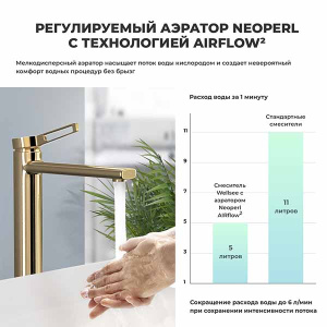 Смеситель для умывальника Wellsee Once and forever 182408000