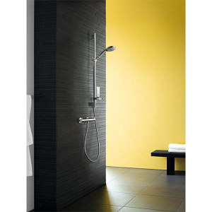 Душевая лейка Hansgrohe Croma 100 Vario 28535000