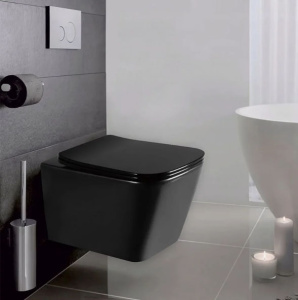 Подвесной унитаз Rea Raul black mat C1100